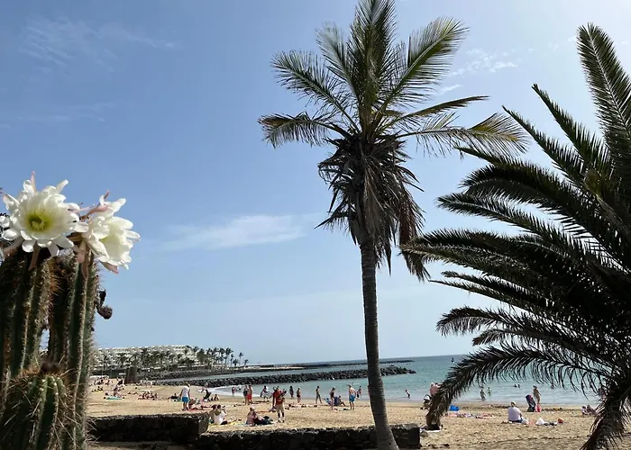 Apartment Casa Minerva