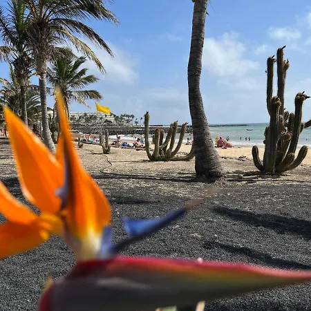 Casa Minerva * Costa Teguise